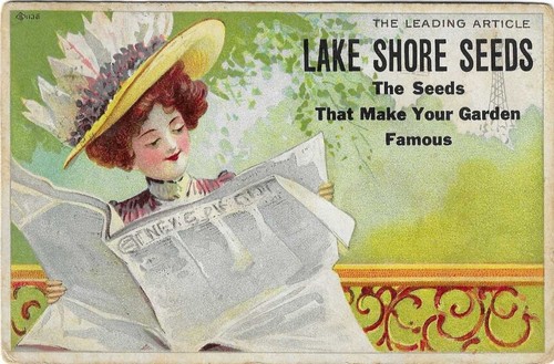 Lake shore seeds maryland - md,